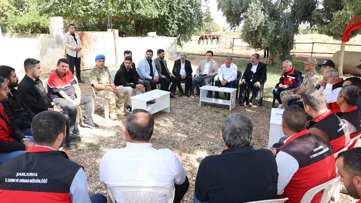 Vali Şıldak, Suruç’ta Arap atı yetiştiricilerini ziyaret etti!