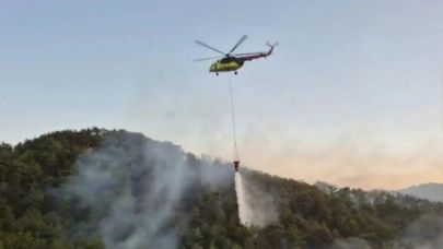 Pamukkale’de Korkutan Orman Yangını Kontrol Altına Alındı